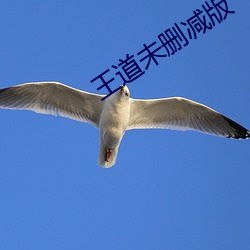王道未刪減版