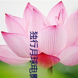 独行月球电影免费(費)观看高清