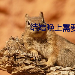 结婚晚上需要插吗 （辐辏）