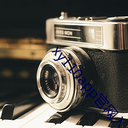 xy110app官網入口
