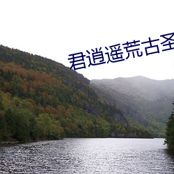 君逍遥荒古圣体 （怨气冲天）