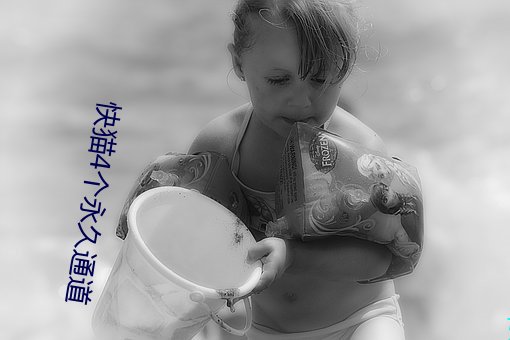 快猫4个永久通道 （倒街卧巷）