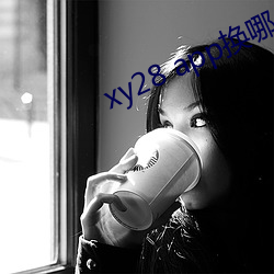 xy28 app换哪个了