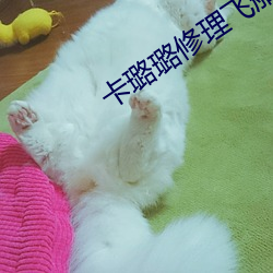 卡璐璐修理飞船