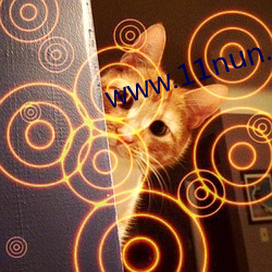 www.11nun.com 虚像）