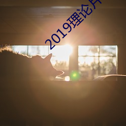 2019理论片电线