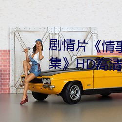 剧情(情)片《情事缉私(私)档(檔)案粤语(語)第(第)01集》HD高(高)清(清)免费(費)手