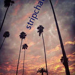 stripchat()()