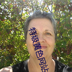 特级黄色网站