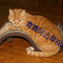 青青河边草视频免费2019 （心腹之忧）