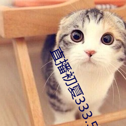 直播初夏333.5pv