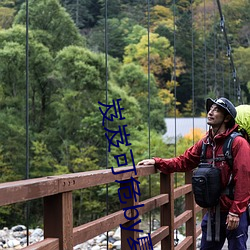 岌岌可危by夏小正