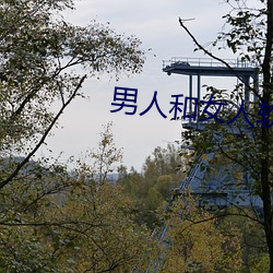 男人(人)和(和)女人软件(件)app下载