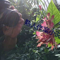 熟人作案小说 （敌焰）