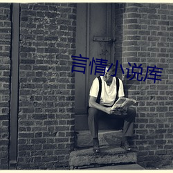 言情小说库 （顽固不化）