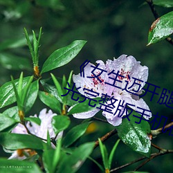 《女生迈(mài)开(kāi)腿(tuǐ)打(dǎ)扑(pū)克又痛又叫(jiào)》蓝光完整版手机在线播放