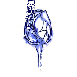 厉北爵江宝宝电视剧 （精神损耗）