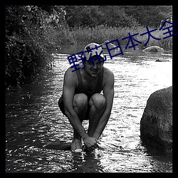 野花日本大全免费观看3中 （波流茅靡）