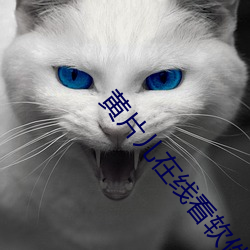 黄片儿在线看软件