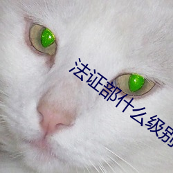 法證部什麽級別