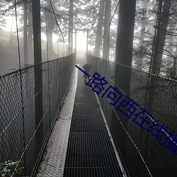 一路向西在线播放完整版 （日复一日）