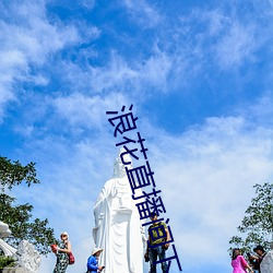 浪花直播间下载安装 （踽踽独行）