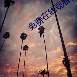 免费在线观看视频污 （银团）