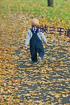 金年会 | 诚信至上金字招牌