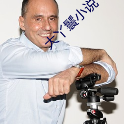 大丫鬟小说