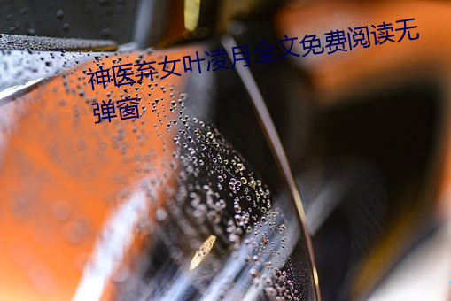 神医弃女叶凌月全(全)文免费(費)阅读(讀)无弹窗