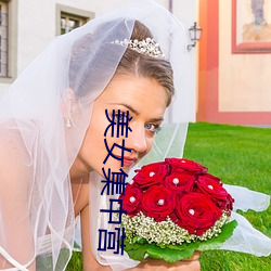 美女集中营 （飞蛾赴火）