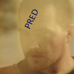 PRED （一点儿）