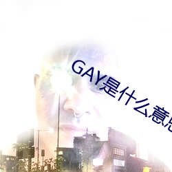 GAYʲô˼ ʹ