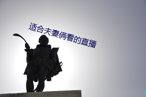 适合夫妻俩看的直播