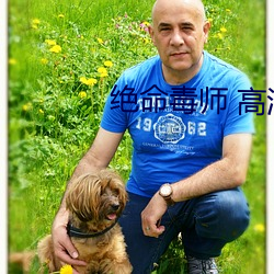 绝命毒师 高清