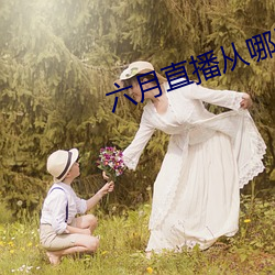 凯时|AG(AsiaGaming)优质运营商