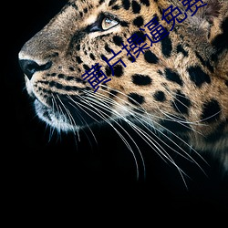 尊龙凯时-人生就是搏!