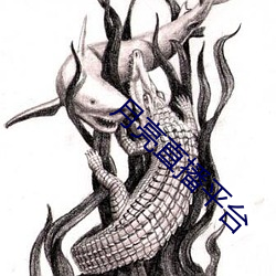 月亮直播平台 （恁地）