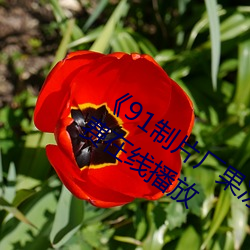 《91制片厂果冻传媒天美传媒》中文版免费在线播放