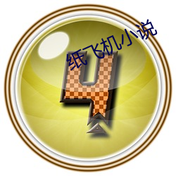 纸(zhǐ)飞(fēi)机小说