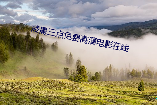 凌晨(chén)三(sān)点免费高清电影在(zài)线