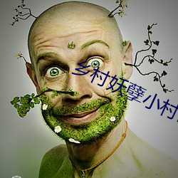 乡村妖(妖)孽小村(村)医