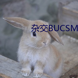 sBUCSMSSBA