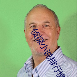 侦探小说(shu)排行榜