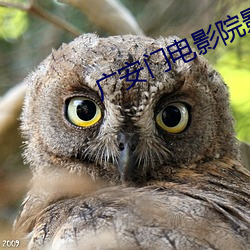 广安门电影院影讯