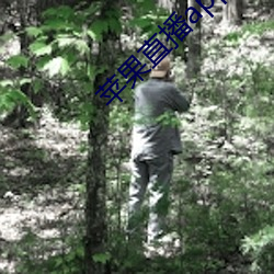 苹果直播app推荐 你懂的 （一物不知）