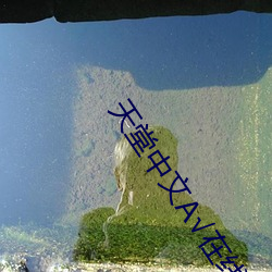 天堂中文√在线