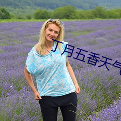 丁月五香天气免费在线235 （小篆）