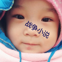 战争小说