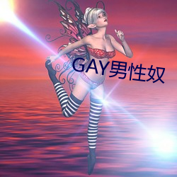 GAY男性奴 （之死靡它）